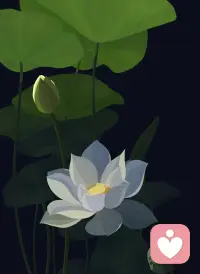 很多人之所以覺得自己缺乏愛，是因為他們沒有找到與自己內心深處的連結。他們在關系中尋求認同、安慰或安全感，但實際上，這些需求的根源是對自我的不了解和接納。真正的愛是關于認識到你本身就是完整的，不需要通過別人的肯定來證明自己的價值。當你能夠接受并愛自己時，你就會發現，你并不需要外界的愛來填補內心的空缺。配圖