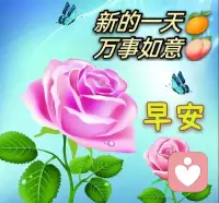 “婚姻是一場放過別人饒了自己的修行，若你不能自渡，沒有人能拯救得了你，換誰也不行”。



最好的結(jié)婚對象其實是你自己。



婚姻中所謂的絕處逢生，就是在一切依賴他人的希望落空后，找到那個一直被塵封的自己，那個有力量、有智慧的自己，并深深愛上自己。配圖