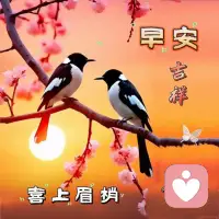 真正的愛情，不僅僅是風(fēng)花雪月的浪漫，更是風(fēng)雨同舟的堅(jiān)定與包容。配圖