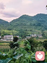 對求助者而言，列舉幾個行為改變可能的風險：
（1）問題變得更加糟糕。比如，一個家長因為孩子不聽話玩手機，咨詢師建議家長與孩子去平等溝通協(xié)商解決問題的辦法，家長可能擔心如果溝通不好，導(dǎo)致親子關(guān)系更加對立，孩子更加沉迷于手機游戲之中。
（2）被他人貶低或看不起。比如，一個職員工作上遇到問題也不去請教其他同事，獨自在那里苦苦思索，因為他擔心自己請教他人，會被他人瞧不起，他人會認為自己能力不行。
（3）激發(fā)自我否定的核心信念。比如，有許多求助者不敢向他人求助，就是擔心被人拒絕。在他們看來一旦被人拒絕，就說明自己在他人心目中不重要，自己是不可愛的。配圖