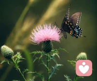 自律的過程，其實是反人性的過程。
我們要身體的惰性作對抗，還要壓抑當下的欲望。
想要擁有別人沒有的身材和皮膚，就必須忍受別人忍耐不了的痛苦。
雖然過程很煎熬，但努力過后的成果卻很甜美，會讓你覺得，一切付出，都很值得。配圖