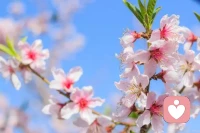 婚姻是一場漫長的旅行，需要雙方攜手共進，共同面對生活的風雨。然而，這并不意味著我們要為了迎合對方而隨意改變自己的節奏與步伐。保持自己的節奏，堅持自己的原則與底線，是維護個人獨立與尊嚴的重要體現。

在婚姻中，我們要學會說“不”，對于那些不合理的要求與期待，要勇敢地表達自己的想法與立場。同時，也要尊重伴侶的選擇與決定，給予彼此足夠的空間與自由。只有這樣，我們才能在婚姻的道路上并肩前行，共同創造屬于兩人的美好未來。配圖