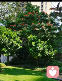 潛意識投射是指個體將自身不能接受的欲望、情感或思想，投射到他人身上，仿佛這些特質原本屬于他人。讓我們設想這樣一個場景：一位員工對自己的能力缺乏信心，卻不斷指責同事不稱職。這里，那個隱藏著的不安，被投射到了他人的身上。
潛意識投射無處不在。常言道，眼中釘，心中同。比方說，如果一個人對某種性格特質極為反感，也許是因為他們自己在潛意識中具備這種特質，卻無法承認。配圖