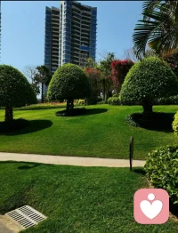 不知大家有沒有過這樣的體會：

遇到焦頭爛額的事情時，有時會把注意力從負面情緒轉移到思考問題的根源上，會更有安全感。

本質上，“窮思竭慮”是我們應對負面情緒的一種自我保護策略。

反復思考時，你會認為自己能重新奪回事情的掌控感，并有機會推翻不好的結果。

從心理學角度解釋，這是由于個體認知不可調和，產生和事實截然相反的諸多觀念，導致個體失去“統覺（apperception）”能力。

如果你經常陷入“窮思竭慮”而無法自控，那么就要小心：你可能已經產生“強迫思維”。

產生“強迫性窮思竭慮”的人，很容易會對已經既定的事實，反復思考、反復推翻、反復求證。

自己有時也知道沒有必要這樣做，但最后無法自控。配圖