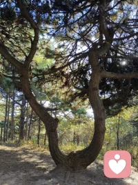 斷的解讀之一：停止負面思考。
有時，人會在一時沖動下，做出某些過分的事情。但事后卻完全不知道自己剛才怎么了，竟然會做出這樣的事？這其實是我們被大腦的聲音控制了。這個聲音無所不在，時刻影響你看待事情的能力、左右你響應事物的方式，甚至會主宰你的生活。
所以，要想提高幸福指數，一定要學會斷開這些負面思考。而要戒斷這些不幸福的念頭最好的方法就是觀察。不斷地觀察。觀察到自己是在想所編織的牢籠中，知道自己是念頭的囚犯，這就是很大的進步了。配圖