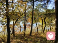 舍的解讀之一：放棄眼前的既得利益，勇敢追隨自己的心。很多人沒有勇氣去割舍、離開眼前既有的舒適區(qū)，進(jìn)而投資、創(chuàng)造出更多的幸福。

回頭看一看，有些事要是沒有當(dāng)初的那份“舍”，也不會(huì)有后來那么多的生活經(jīng)歷和見聞了。生活就是這樣，當(dāng)你愿意勇敢地追隨自己的心，也就會(huì)活得越來越輕松、快樂。配圖