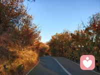 化解人際沖突并不難，前提是我們必須設(shè)身處地考慮他人感受，尊重他人需求。
然而生活中，有太多人常常被情緒裹挾，對他人惡語相向，將微不足道的摩擦引爆成無法收場的紛爭。
遇到任何問題時，發(fā)泄情緒只會讓誤解越來越深，彼此批判只會讓矛盾越積越大，
“重要的不是發(fā)生了什么，而是對方是怎么感受的。”
停止情緒的碰撞，嘗試心靈的交流，心平氣和地把各自想法擺上臺面。
一旦你敞開心扉，不再抗拒對方，再復(fù)雜的糾葛也會迎刃而解。配圖