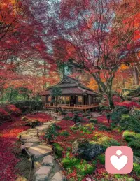 離的解讀之一：放下一切期盼。
以前我總想不通自己明明擁有了那么多，為什么卻還不快樂。為了得到這個問題的答案，我走上了個人成長的道路。在個人成長的過程中，我還是一如既往地用“多就是好”的態度來學習。
學到最后，我自己都累了。我發現沒有一個老師可以真正幫到我，沒有一本書可以拯救我、帶給我想要的那種自在和快樂。
于是，我放下了。我不再追尋、不再盼望，而是愿意在當下和自己諸多的不完美，內在的各種陰影、負面情緒及念頭好好相處。當放下一切的期盼之后，我開始享受生活的簡單和單純，不知不覺地開始“傻樂”，沒有任何緣由地感到“當下無事”的那種自在和幸福。
親愛的，如果你也想活出幸福快樂的人生，就不斷嘗試和練習斷舍離吧。如果你感覺自己的欲望很難突破，也不用過度壓抑它。欲望是需要被穿越的，而穿越的方法有時候就是去追逐、滿足它。
到了一定時候，你也會像我曾經一樣精疲力竭，跌坐回自己的位子上時才發現，原來你想要的一切，早就在你出發的地方等著你了。配圖