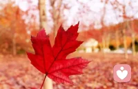 當一個人在精神上深深地依賴另一個人時，他們會對自己產生一種不確定感，擔心自己不夠好、配不上對方。這種自卑感，從心理學角度看，是源于他對自己的一種深刻反思和期待。他希望自己能夠變得更加優秀，以便更好地配得上你的愛和陪伴。這種局促和自卑實際上是他們對你情感深厚的一種體現，也是他們愿意為你付出努力的一種證明。當他漂洋過海，終于要見到你時，甚至連呼吸都反復練習了很多遍。真正見到時，他都不敢正視你的眼睛，甚至有點害羞。配圖