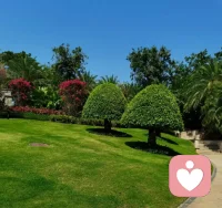 一段好的咨詢是不斷學習成長、改變人格的過程。
這其中包括，
讓我們的感知不再僵化，
對未知的體驗更加開放，
以及更加真誠地對待自己。
而這些改變，
正是源于我們在咨詢中感到被接納、
被理解、被看到。
??????????????????配圖