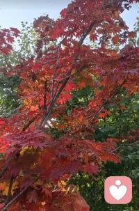 正向磁場

“你心中描畫怎樣的藍圖，將決定你會度過怎樣的余生?！?
每個人都是有磁場的，正向磁場能夠帶給你好運，能讓你遇見好人好事，因為好的磁場會吸引和你同頻的人。

當一個人懂得善待自己，豐富自己的靈魂，關照自己的感受，心生美好，向上生長，全然接受且樂觀地看待自己，美好的事物一定圍繞他身邊。

思想是一種力量，更是一種能量的表現，它具有磁性。

思想消極悲觀，就會產生“負面磁場”，覺得生活處處不如意，喪失希望與動力；思想積極開放，就會產生“正向磁場”，使人更加熱愛生活。

你的正向磁場，終會助你屏蔽不幸，迎來好運。配圖