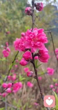 婚姻中，如果你的脾氣越來越差，想哭、易怒、看誰都討厭，那基本上是錢或愛不到位，雖然很俗，但事實便是如此。配圖