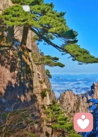 列舉幾條認知扭曲。
    
    在心理學中，認知扭曲的類型多樣，常見的包
括：
1. 全或無思維：這是一種非黑即白的思維模式，比如成績未達預期就認為自己一無是處。
2. 過度概括化：因某次失敗便認為命運注定如此。
3. 心理過濾：只關注負面事件，而忽視正面體驗。
4. 跳躍結論：在缺乏證據的情況下，迅速得出負面結論。5. 災難化：總是預測最壞的結果。
6. 個人化：把別人的行為不當歸因于自己。這些思維模式猶如有色眼鏡，使得我們對生活的感知偏離現實。這些扭曲，悄無聲息地影響著我們的情感和行為。配圖