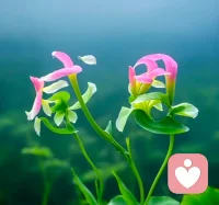 強迫性窮思竭慮，是一種自我保護策略
不知大家有沒有過這樣的體會：
遇到焦頭爛額的事情時，把注意力從負面情緒轉移到思考問題的根源上，會更有安全感。
本質上，“窮思竭慮”是我們應對負面情緒的一種自我保護策略。
反復思考時，你會認為自己能重新奪回事情的掌控感，并有機會推翻不好的結果。
從心理學角度解釋，這是由于個體認知不可調和，產生和事實截然相反的諸多觀念，導致個體失去“統覺（apperception）”能力。
如果你經常陷入“窮思竭慮”而無法自控，那么就要小心：你可能已經產生“強迫思維”。
產生“強迫性窮思竭慮”的人，很容易會對已經既定的事實，反復思考、反復推翻、反復求證。
自己有時也知道沒有必要這樣做，但最后無法自控。配圖