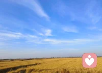 心理防御機(jī)制，是人類在面對精神痛苦時無意識地進(jìn)行自我保護(hù)的方式。這些機(jī)制，有時如同一個魔法，幫助我們避過當(dāng)下的危機(jī)，但也可能成為阻礙自我成長的桎梏。例如，當(dāng)你對某人心存怨恨，卻在見面時和顏悅色，這或許正是一種典型的心理防御——表面上是和諧，內(nèi)心卻暗流涌動的“壓抑”。
心理防御機(jī)制的多樣性
這些機(jī)制是個體用來對抗焦慮、保護(hù)自我免受心理痛苦的無意識策略。這些策略多樣而復(fù)雜，比如：
否認(rèn)：無視現(xiàn)實存在的事實，以避免承認(rèn)痛苦。
投射：將自己不愿承認(rèn)的缺點(diǎn)歸咎于他人。
合理化：為自己的不當(dāng)行為尋找合理的借口。
壓抑：無意識地將不愉快的記憶和想法壓入潛意識。
通過這些方式，我們得以暫時逃離痛苦的真相，卻也可能因此遠(yuǎn)離真正讓我們成長和覺醒的機(jī)會。?配圖