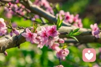 情緒本就是我們應對外界刺激的一種生理和心理反應，它們可以是積極的，比如說喜悅啊、興奮啊和愛。當然他們也有可能是消極的，比如悲傷、憤怒、恐懼。其實每一種情緒的背后，都有著一個沒有被滿足的心理需求。如果說你感到焦慮了，你可能需要的就是安全感、掌控感和穩定感，是不是這樣？那你就可以具體化你焦慮的世界，你越確定自己在焦慮什么，你的掌控感就越強。配圖