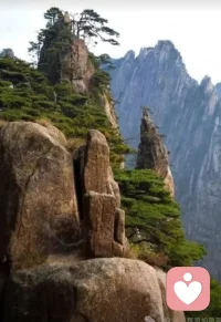 情感依賴

你是否曾經在一段親密關系中渴望的需要對方的關注和關愛，即便明知自己的要求有些無理？這種無法擺脫的渴求很可能不是偶然，而是源自一種深層次的心理現象：情感依賴。
    
    情感依賴，顧名思義，是一種過度依賴他人的情感狀態。這種依賴的根源常常可以追溯到個體的童年時期。在心理學中，有一種著名的理論——依戀理論，該理論強調了早期依戀關系對個體一生心理健康的深遠影響。如果一個人在童年時期未曾獲得足夠的關注和愛，他們可能在成年后通過過度依附伴侶來彌補這種缺憾。

情感依賴在外表上可能表現得極為獨立和自信，但在內心深處，他們往往感到深深的恐懼和不安。為了彌補心中的空虛，他們在感情關系中強烈地尋求對方的關注和肯定，甚至為此不惜一切代價。但這種不安全感常常導致他們在關系中表現出控制和占有欲，進而引發矛盾和沖突。
    
    研究表明，情感依賴與我們大腦中的獎勵回路密切相關。當依賴對象給予關注時，我們的大腦會釋放多巴胺，這種神經遞質會讓人感到愉悅和滿足。配圖