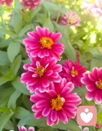 你是否在情感的路上屢遭挫折？是否總是覺得與身邊的異性似近非近，話不投機，或者即使初期感情甚好，也能漸漸感覺彼此在奔向不同的方向？當聽到 “我愛你，但我們不合適” 這句話時，你或許會心痛、疑惑，甚至自責，這究竟是愛的失敗，還是一段關系真正不可逾越的鴻溝？本文將從心理學的專業視角探討，你的愛情底色如何決定你最適合哪種異性，幫助你在未來的情路上走得更加順暢、成熟。

  在心理學中，“愛情底色”可以理解為一個人在愛情關系中的基本態度、價值觀、情感習慣等潛意識層面的心理特征，它們深刻影響著一個人如何選擇伴侶、經營關系，甚至處理分手。每個人的愛情底色都有所不同，而正是這些不同形成了各種各樣的愛情模式。了解自己的愛情底色，對于尋找合適的伴侶、維護健康的情感關系有著不可忽視的作用。
 
人們往往是基于自己情感習慣的互補性來選擇伴侶。例如，一個習慣于關注細節、性格細膩的人，可能更愿意與一個性格開朗、不拘小節的人形成情感上的互補，這樣可以在日常生活中互相滿足自己情感上的需求。但是，這種互補性的愛情往往在親密關系深入后，遇到雙方性格差異帶來的挑戰，如果處理不當，可能會導致“不合適”的結局。?
   
    另一方面，人的價值觀對于愛情的持久性有著更為重要的影響。當伴侶雙方的基本價值觀相同時，他們解決問題的方式和人生目標更容易達成一致，從而促進關系的穩定與長遠發展。然而，這種基于共同價值觀的吸引力，往往在初步接觸時不如性格互補那樣明顯，需要雙方在深入了解的過程中逐漸發現和培養。配圖