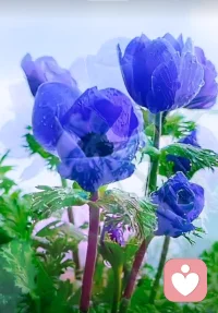 一個(gè)人若長(zhǎng)期持有非理性的認(rèn)知模式，且不懂得改變，那么他就會(huì)長(zhǎng)期困于負(fù)面的情緒循環(huán)中，潛在的暴力因子也很可能會(huì)被激發(fā)出來(lái)。


“一個(gè)人愛(ài)不愛(ài)你，不是看他心情好時(shí)對(duì)你有多好。而是看他心情不好時(shí)對(duì)你有多差。”

情緒的最低谷，才最能暴露一個(gè)人的真實(shí)面目。

煩躁易怒，不分場(chǎng)合發(fā)火，打砸東西，傷人傷己……

這些行為將會(huì)給你的人生，帶來(lái)不可估量的災(zāi)難。

上醫(yī)治未病，防患于未然。

不要和一個(gè)深藏情緒危機(jī)的人談戀愛(ài)，更遑論結(jié)婚。配圖