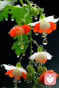 與自己和解，意味著原諒自己的過去。過去的事情無法改變，我們能做是不再讓那些遺憾和錯誤定義我們。我們每個人都有成長和改變的能力，我們可以選擇不被過去所束縛，而是讓它們成為我們前進的動力。

與自己和解，意味著活在當下。我們常常被過去的回憶或者對未來的擔憂所困擾，而忽視了現在。現在是我們唯一能夠控制的時刻，是我們能夠真正生活的時刻。當我們專注于當下，我們就能更好地體驗生活。

與自己和解，意味著自我同情。在面對困難和挑戰時，我們往往對自己太過苛刻。我們批評自己，責怪自己沒有做得更好。但是每個人都會犯錯，自我同情意味著自我成長。我們學會了傾聽自己內心的聲音，學會了尊重自己的需求和愿望。配圖