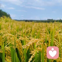 列舉幾個如何應對內(nèi)卷效應：

   1. 重新定義成功：成功并不只有物質(zhì)上的收獲，心理健康、家庭幸福、個人成長同樣是重要的指標。
     2. 時間管理：合理安排工作和休息時間，避免過度投入。
   3. 自我認知：認識到自己的局限性和既有資源的稀缺性，不要盲目與他人比較。       
  4. 團隊合作：提倡合作而非競爭，共建和諧的團隊氛圍。?配圖