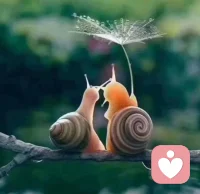 “傷痛”是不可避免的，但“痛苦”卻是可以選擇的。

我們在情感上對傷痛的反抗越強烈，由煩擾、自責和內疚所帶來的痛苦也就越強烈。很多時候，傷痛并不可怕，可怕的是我們對于傷痛的過度反應。
實際上，人們常常遭受到兩支箭的攻擊：第一支箭是傷痛。第二只箭是對傷痛產生的抗拒。
比如，工作失敗了，這是傷痛，是第一支箭，這支箭給我們造成的傷害并不大，但是，如果我們對此耿耿于懷，這就是射向我們的第二支箭。又比如，被女朋友甩掉了，這是傷痛，是第一支箭，但因為被甩掉而心生怨恨，甚至怨恨所有女性，認為女人沒有一個是好東西，則是射向我們的第二只箭。第一支箭本身并不可怕，可怕的是人們自己射向自己的第二支箭。
我們在生活中感受到的大部分痛苦，都是第二支箭帶來的，也就是抗拒“傷痛”的結果。如果著手“接納”這些傷痛，順其自然，傷痛就會減輕。因為傷痛在接納時變輕，在抗拒中變重。同時，我們會發現傷痛本身并不可怕，可怕的是由傷痛產生的怨恨，然后不斷提升處理傷痛的能力，轉化的能力等等。配圖