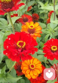 自我認知缺失，是焦慮的重要來源
生活中，你是否遇到過這樣的人？
在飯店里，你問他想吃什么，他的回答要么是“隨便”，要么是“聽大家的”。
聊到愛好上時，你問他喜歡什么，他只有三個字“不知道”；
你問他未來想做什么樣的工作，他說“還不清楚”。
隨便、聽大家的，可以展現一個人的隨和，避免一些不必要的麻煩。
它們也讓人失去了向內看的力量，不知道自己想要什么、喜歡什么。
書中講到一位學員，她的語言體系里很少有“我”，只有”我們”，“他們”“大家”。
無論什么時候，她在做決策時都搖擺不定，別人很難知道她到底想要什么。
她還會做出過分討好他人的舉動，被陷入“老好人”或者“墻頭草”的尷尬境地。
她的生活變得像被厚重的濕布緊緊包裹，無法自由呼吸。
一個人面臨最大的難題，是不能正確認知自己，不是高估了自己，就是低估了自己，從而導致判斷、選擇、決策失誤。配圖