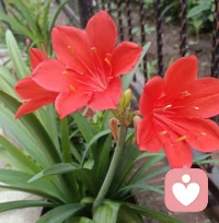 冲突，其实是一种关系中的“失控状态”。当矛盾爆发，情绪升温，局面就会变得难以预测。很多人并不害怕冲突本身，而是害怕冲突后可能带来的失控。比如被对方误解、被对方嫌弃，被对方抛弃。换句话说，TA们不是不敢冲突，而是不敢面对失控后的后果。
控制欲, 并不总是显而易见的指手画脚或咄咄逼人。很多时候，它有一种“隐形的规则”：通过牺牲自己的情绪，换来一份可控的和平。比如说，你和同事发生分歧了，明明气得快炸了，却在心里劝解自己：“算了吧，忍一忍，别把事情搞得太复杂。”看起来，你在避免冲突，其实内心深处，你只是在试图控制局面，避免失控带来的不安感。对于害怕冲突的人来说，控制欲的本质，并不是操控他人，而是控制关系中的风险。TA们害怕冲突，不是因为懦弱，而是因为TA们无法承受冲突可能带来的不确定性：对方会不会生气？会不会讨厌我？会不会不再爱我？配图