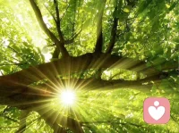 抑郁表现为能量低，干啥都提不起兴趣，内耗极大，走路呼吸都觉得累，能维持自己活着，已属不易。

深入认识自己痛苦背后扎根多年的幻想。比如希望父母看见自己，害怕老公离开自己，幻想自己很优秀就会得到爱等等。一定要掌握命运如我所愿，成为最优秀的自己等等。

经常觉知身体，把意识拉回到身体上，就是帮助自己回到现实，能承认自己的局限性、无力感、无意义感，接纳、改善，是治愈抑郁的根本。配图