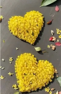 卑鄙與偉大，惡毒與善良，仇恨與熱愛等等是可以互不排斥地并存在同一顆心里的。人性是復雜且靈活多變，讓人有時是天使，有時是撒旦。所以，真正讓人感到痛苦的有時是人的自欺欺人。如果認知是恩愛面，婚姻里卻存在很多陰暗面，這就會感受到割裂痛苦。所以，不要盯著婚姻中的泥淖，而是要去提升認知，去多研究人性，順應人性，拿捏人性。如此，婚姻中所有的問題都會有答案，所有的痛苦也會釋然很多。配圖
