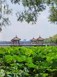 仇恨就像膨脹袋子，你在意它，它就會越來越大；你忽視它，它便慢慢消失。
你之所以總是悶悶不樂，因?yàn)槿穗H關(guān)系之間的小摩擦，搞得心力交瘁，你越是耿耿于懷，心里放不下，就越是不痛快、煩惱叢生。
預(yù)防它、轉(zhuǎn)化它、調(diào)整它…。配圖