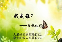 现实生活问题之间关系有三种情况：一是因果关系，也是说一个问题引发了另一个问题，比如失业导致没有工资收入，就可能导致夫妻矛盾和房贷还不上问题。再如，考试成绩优秀超过了好朋友，就有可能导致朋友之间关系疏远等问题。我们在前面讨论过，心理障碍和重性精神疾病层级问题由现实生活中的适应或发展问题引发，这就说明心理障碍或重性精神疾病与适应或发展问题之间存在因果关系，适应或发展问题为因，心理障碍或重性精神疾病为果。比如，求助者存在失眠障碍，也存在学业压力，就这两个问题而言，学业压力是因，它导致了求助者失眠障碍的产生。

二是平行关系，即两个问题之间并没有联系，他们都是独立发生的。比如求助者与父母关系不好，拒绝沟通，这个问题已经有十来年之久，另外求助者面临孩子学习成绩不好的问题，这个问题是最近半年才有的事情。这两件问题的时间（即病程）相差太远，一个十年，一个半年，很难想象二者有因果关系，这两个问题是平行的，互相独立存在。

三是同类关系，求助者存在的多个问题，表面上看起来属于不同情境，但这些问题都基于相同原因而出现的，问题之间属于同类关系，我们把它归属于同类问题。从诊断角度来看，对于这些属于同类关系的问题，实际上就是同一个心理问题的不同表现而已。配图