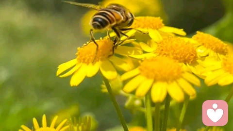 婚姻幸福与调整