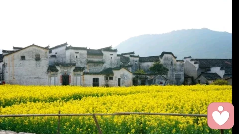 当一份爱分手让你感觉痛苦的时候