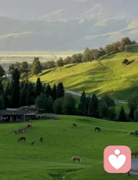 “我们应该温柔而充满敬意地对待自己的不安、痛苦、愤怒与激情，不抵制它，和它共处、与它和解。”
情绪本就是流动的溪水，是执念将它砌成困住自己的墙。
做情绪的旁观者，才能让我们始终保持清醒和理性，不因物喜，不因己悲。配图