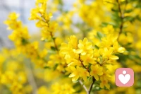 底气与实力
     小鸟在树枝上快乐自在，不是源于树枝的托举，而是有一双健壮的翅膀。随时可以应对一切，树枝和其他载体，只是借助绝不依赖。
       修炼真功夫，有实力自由翱翔的前提，是我们心房的清爽整洁，心无挂碍才会自由翱翔。
        修心更加要了悟刨根的必须，自我潜意识和家族潜意识的乱码、错位必须理顺，情绪垃圾必须清理出去，否则积压包裹在心房，遇境现前的焦虑，会令人无法安心自在。配图