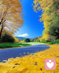 什么是归属感？简单来说，就是知道自己属于某个地方、某个群体，被接纳、被认可、被需要的感觉。归属感是人精神健康的晴雨表。当一个人缺乏归属感时，他会感到孤立、焦虑，甚至产生各种心理问题。归属感不是与生俱来的，也不是仅仅靠在那里就可以得到的，必须自己主动参与才能获得。
归属感的三个层次：
一，家庭归属感。 最早的归属感来自家庭。父母的爱给孩子归属感。如果在童年时期归属感缺失，成年后就会不断寻找这种“被接纳”的感觉。
二，社群归属感。 在学校、职场、朋友圈中找到自己的位置。可称之为“共同体感觉”——人在各自所处的家庭、地域、职场等环境中的归属感、信赖感、贡献感的总和。
三，人类归属感。 最高层次的归属感，是意识到自己是人类共同体的一员。所说的“共同体感觉”，被描述为 “用对方的眼睛去看，用对方的耳朵去听，用对方的心去感受” 。

归属感缺失的表现：在人群中感到格格不入；过度讨好他人，害怕被拒绝；不断换工作、换城市、换圈子，却始终找不到“安定的感觉”；用物质、成就来填补内心的空洞。配图