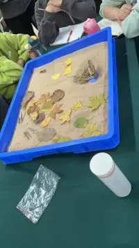 晚秋主题沙盘