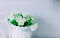 生命是要有裂痕的，阳光才会照进去