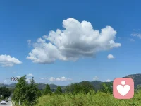 “百病生于氣”。情緒就是氣，氣需要自然的流動。內(nèi)在氣機緊張、糾結(jié)、壓抑，都會反映到身體上，讓身體不適直至出現(xiàn)病癥！有情緒來找我傾訴，為你找到情緒的出口，讓氣機平衡自然流動！配圖