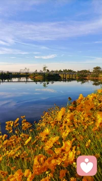 “百病生于氣”。情緒就是氣，氣需要自然的流動。內(nèi)在氣機緊張、糾結(jié)、壓抑，都會反映到身體上，讓身體不適直至出現(xiàn)病癥！有情緒來找我傾訴，為你找到情緒的出口，讓氣機平衡自然流動！配圖
