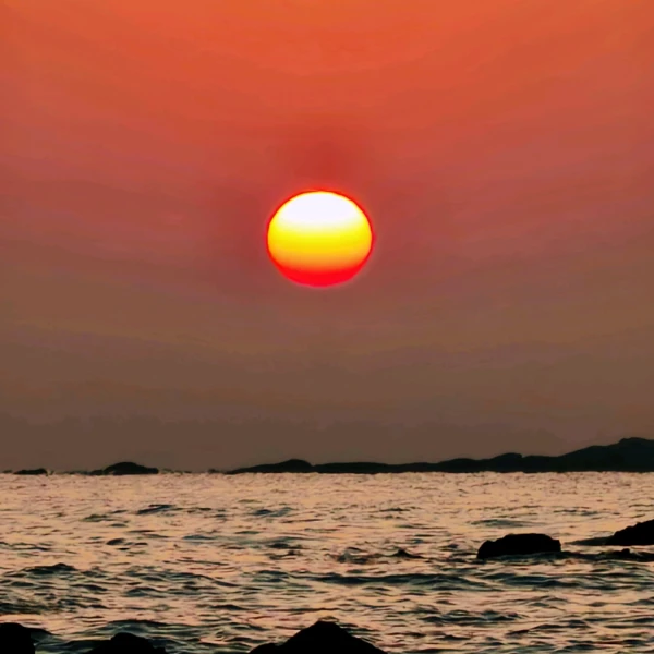 心向暖陽