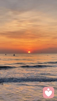 人生，衰败只是暂时的，生生循环才是永恒的使命。这一生也是一个不断体验、试错、经历和磨炼的过程。凡事的发生都有其合理性！配图