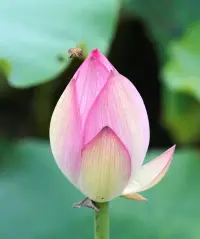 善良，不是高聲的叫囂，不是站在聚光燈下的自我標榜，而是一種由內而外的光輝，是一種無言的力量。幫助著別人，也在成就著自己讓自己變得越來越好。配圖