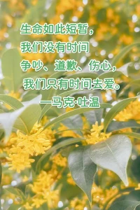 生命如此短暂， 我们没有时间争吵、道歉、伤心， 我们只有时间去爱。 —马克·吐温配图