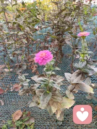 我們要終其一生來尋找那個真正的自我，所以不要急著對目前的現狀下結論，只要活的足夠久，你就一定能實現你的目標，每天進步一點點，加油(? ??_??)?配圖