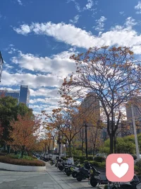 青少年是最適宜的來訪者，可常常她們都是偷偷來訪，又沒有經(jīng)濟(jì)來源，我覺得遇上只求財?shù)淖稍儙熅秃芸上В€好，我有經(jīng)濟(jì)基礎(chǔ)，可以免費幫助她們。看到小姑娘從對人生的絕望到可以面對現(xiàn)實，一步步好起來，我真的替她開心，這真的比我吃的好更要讓我快樂(?▽?)配圖