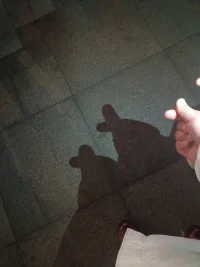 新年快樂配圖