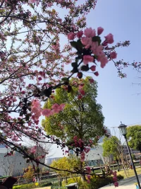 不能無限延遲咨詢時間，這樣不利于來訪成長配圖