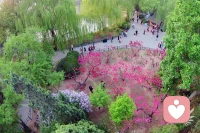 困扰，于每个人都是无处不在，或大或小，或忧或悲，生冷硬对抗于事无补，巧妙疏解才是智者所为。人生需要灵动，生活需要变通，日子需要整理，会拼才会赢。配图